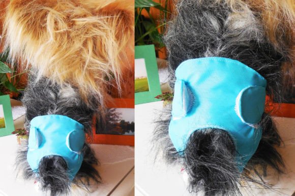 Yorkie Dog Diaper