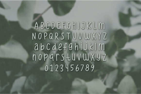 Eucalyptus Font - Preview 1