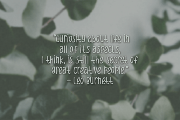 Eucalyptus Font - Preview 2