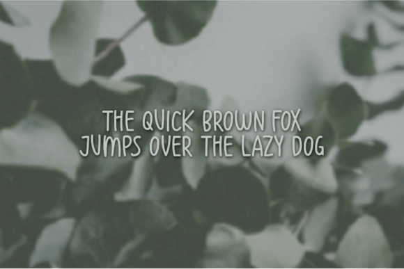 Eucalyptus Font - Preview 3