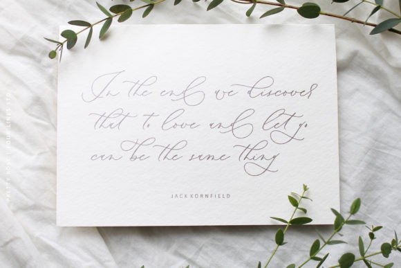 Pretty Rose Font PNG with transparent background - Preview 3