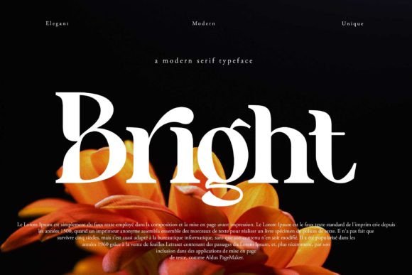Benogi Font - Preview 1
