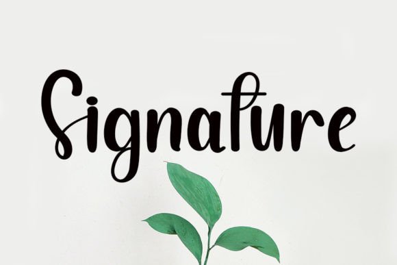 Calligraphy Font - Preview 1