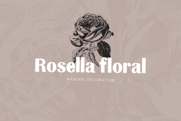 Camelin Font - Preview 5