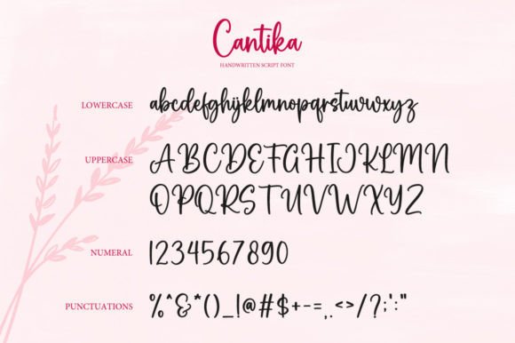 Cantika Font - Preview 5