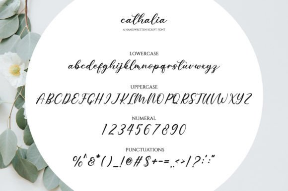 Cathalia Font - Preview 5