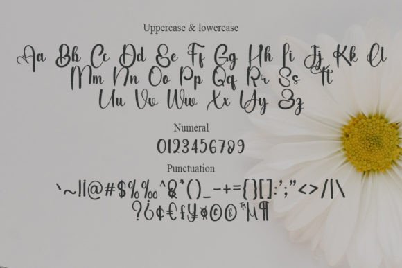 December Font - Preview 5