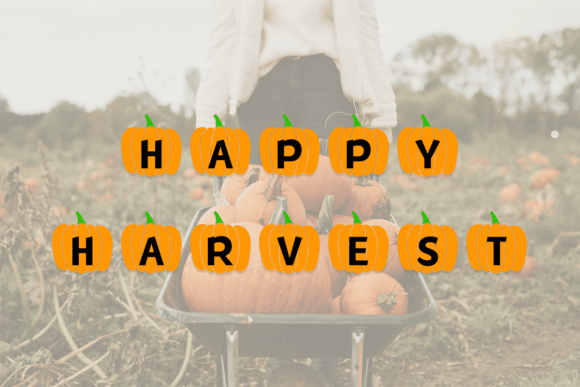 Fall Pumpkins Font - Preview 5