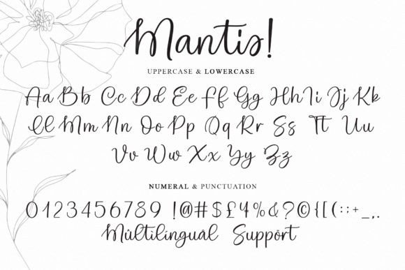 Mantis! Font PNG with transparent background - Preview 6