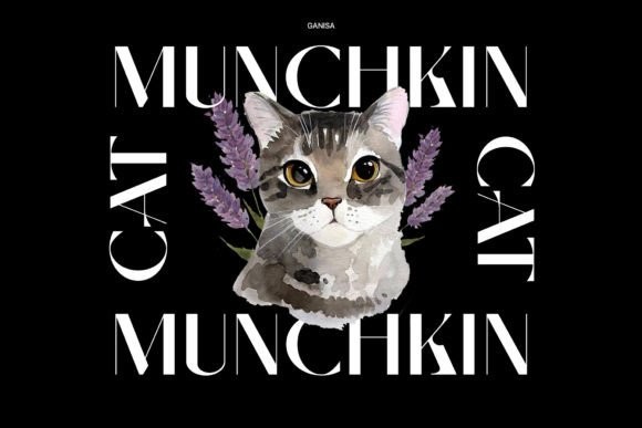 Ganisa Font PNG with transparent background - Preview 2