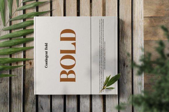 Contingent Duo Font - Preview 6