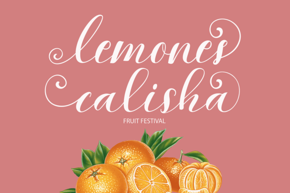 Kalina Font - Preview 2