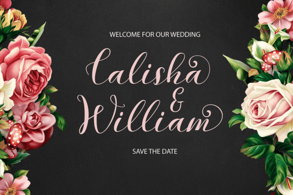 Kalina Font - Preview 3