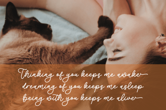 Maydelyne Beautiful Font PNG with transparent background - Preview 2