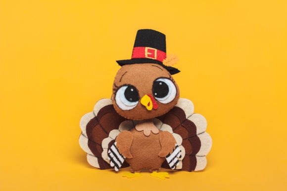 Thanksgiving Turkey