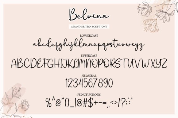Belvina Font - Preview 4