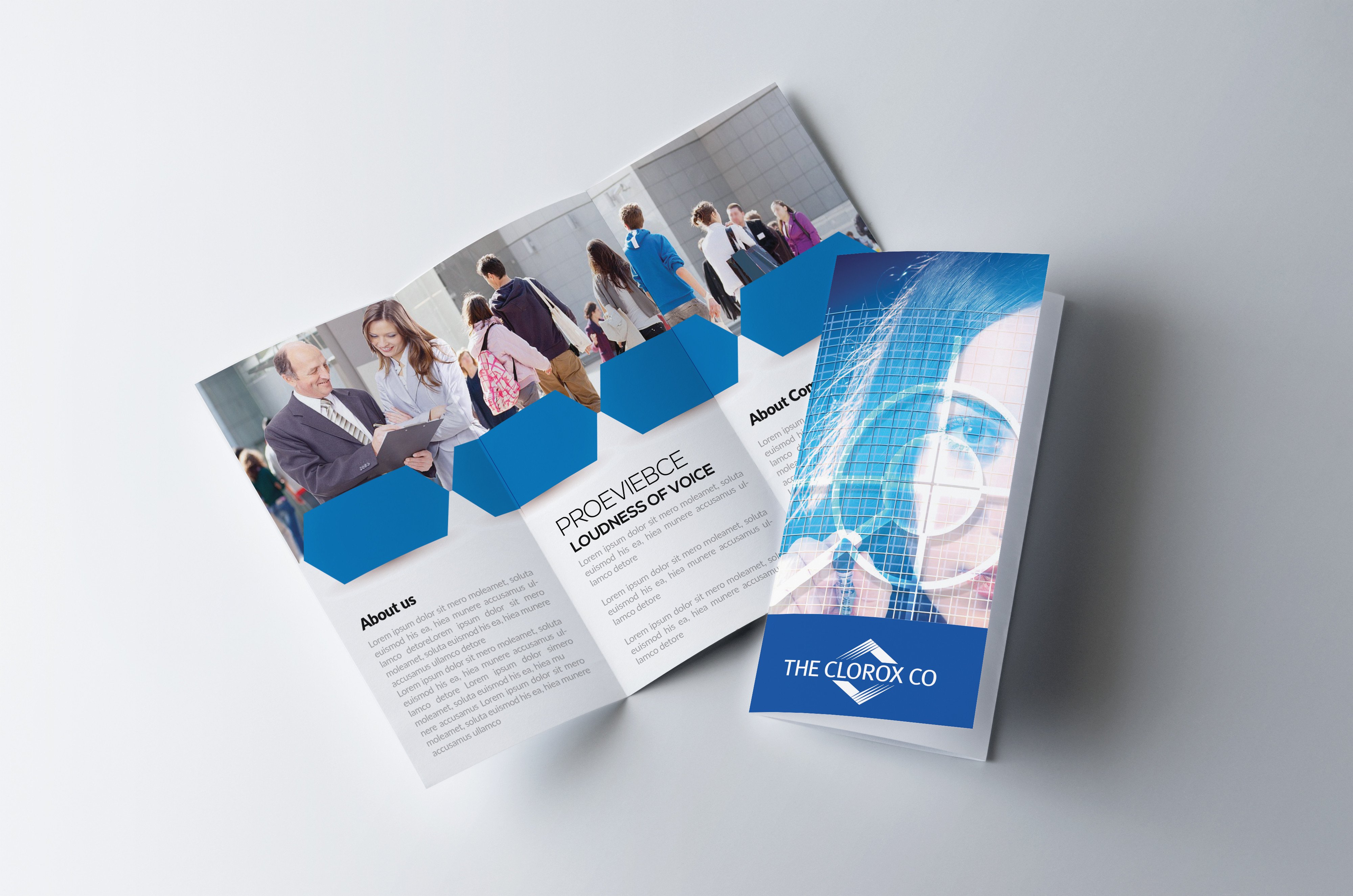 Business Trifold Brochure Template Graphic by Leza Sam · Creative Fabrica