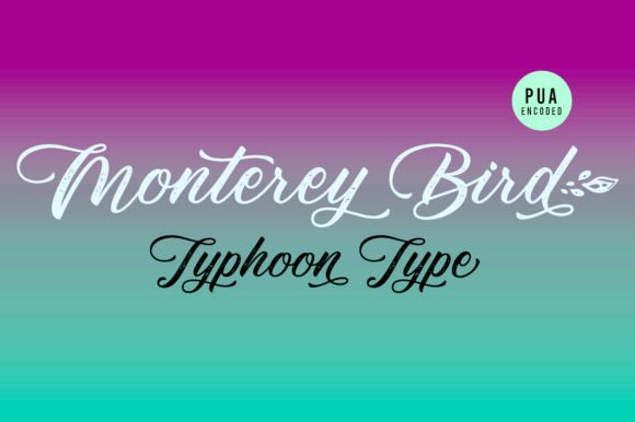Monterey Bird Font PNG with transparent background - Preview 2