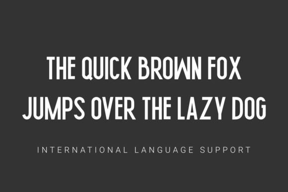 Nikeflix Font font preview - 1