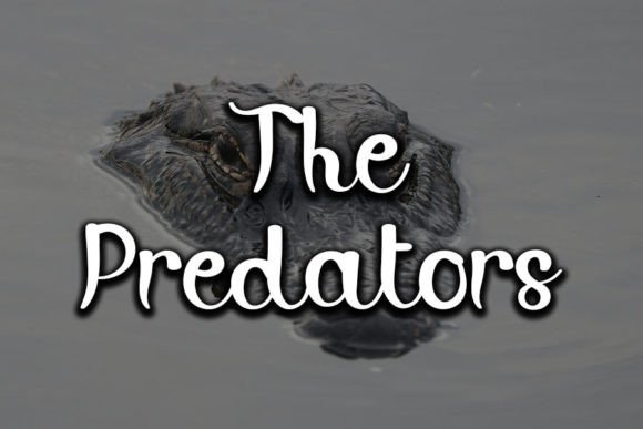 Aligator Font - Preview 2