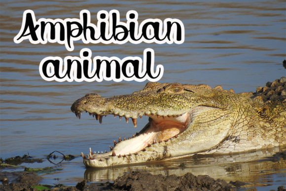 Aligator Font - Preview 3