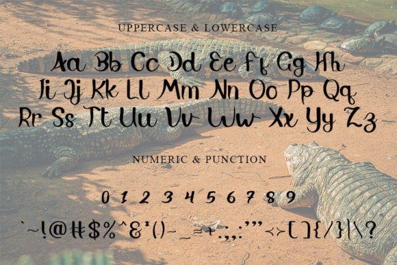 Aligator Font - Preview 4