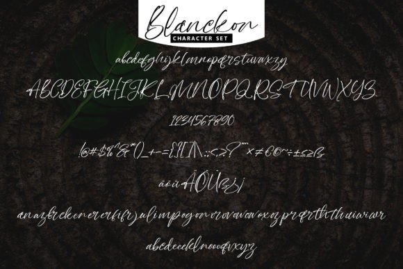 Blanckon Font - Preview 4