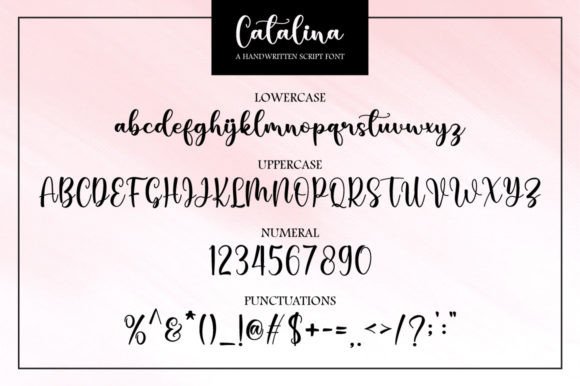 Catalina Font - Preview 5
