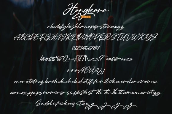 Hangkara Font - Preview 4
