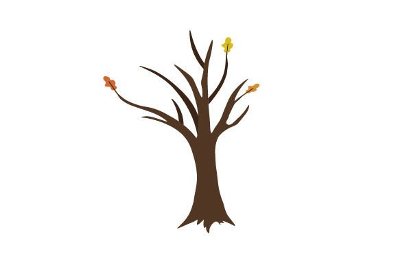 Bare Tree