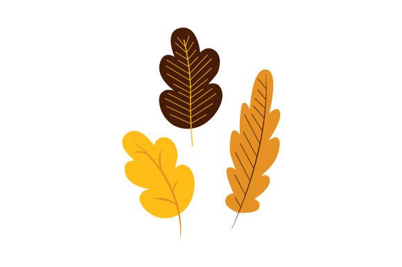 Fall Leaves
