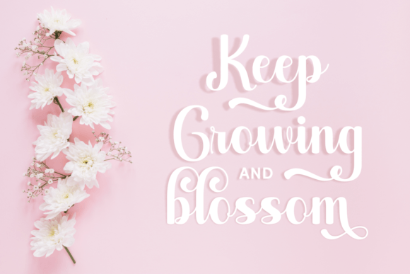 Alicia Charlotte Font - Preview 1