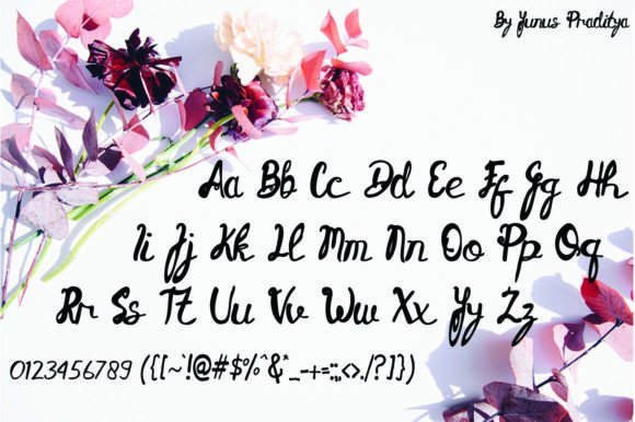 Candu Font - Preview 4
