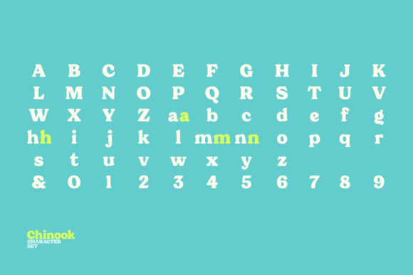 Chinook Font - Preview 2