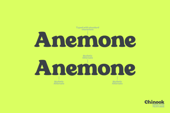 Chinook Font - Preview 3