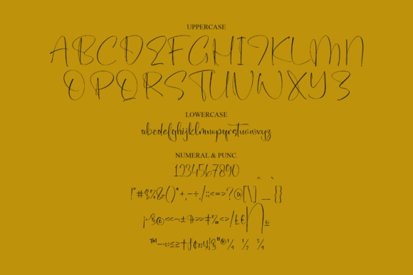 Eleanor Script Font - Preview 6