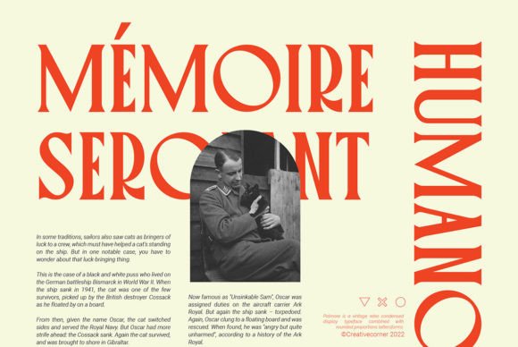 Palmore Font PNG with transparent background - Preview 3