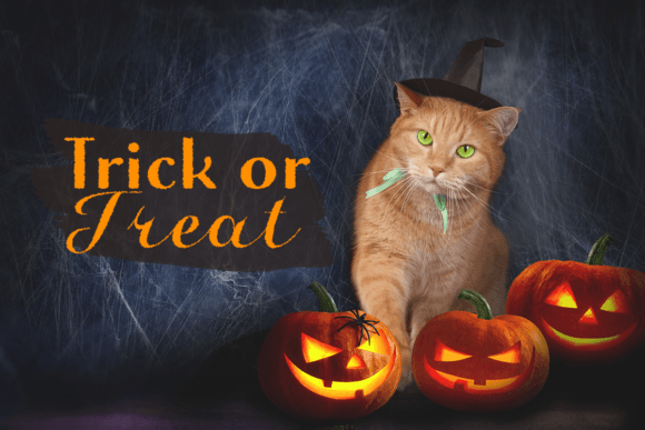Halloween in Autumn Font PNG with transparent background - Preview 3