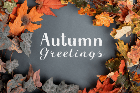 Halloween in Autumn Font PNG with transparent background - Preview 4