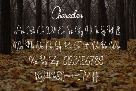 Arsella Font - Preview 2