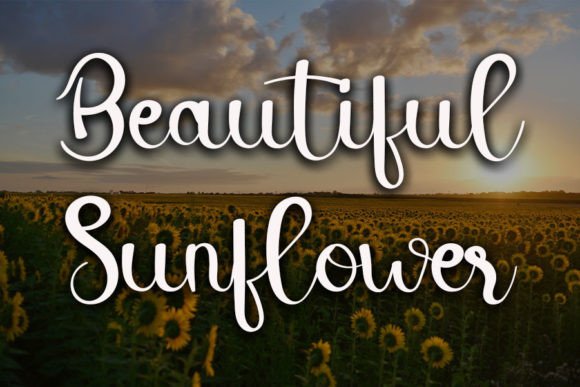 Peach Handmade Font font preview - 3