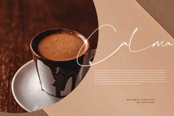 Bellogia Signature Font - Preview 3
