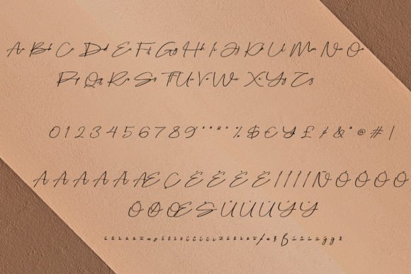 Bellogia Signature Font - Preview 5
