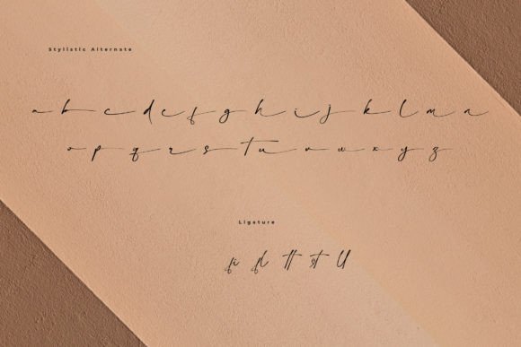 Bellogia Signature Font - Preview 6