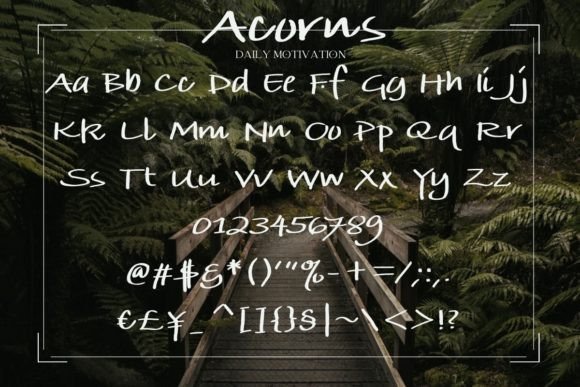 Acorns Font - Preview 1
