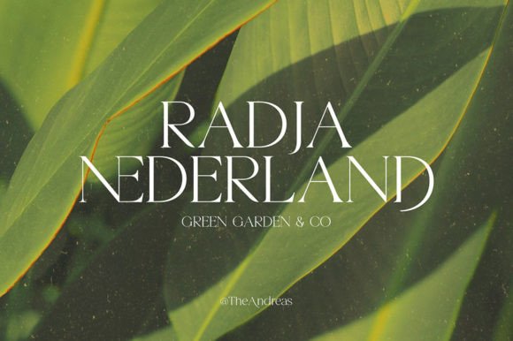 Andreas Font - Preview 6