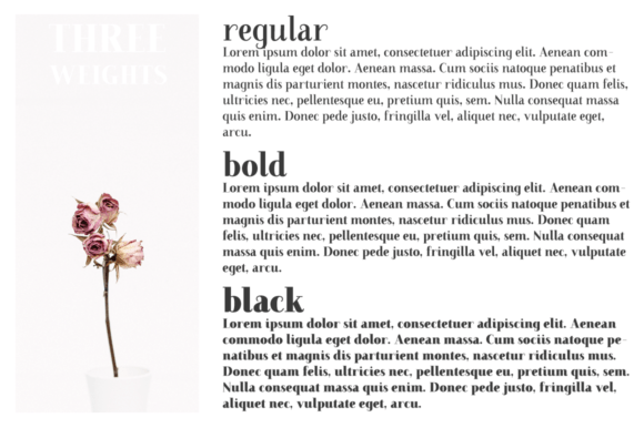 Farewell Angelina Font - Preview 3