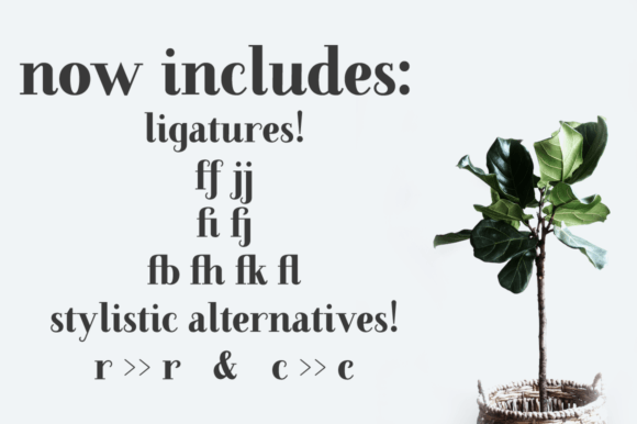 Farewell Angelina Font - Preview 5
