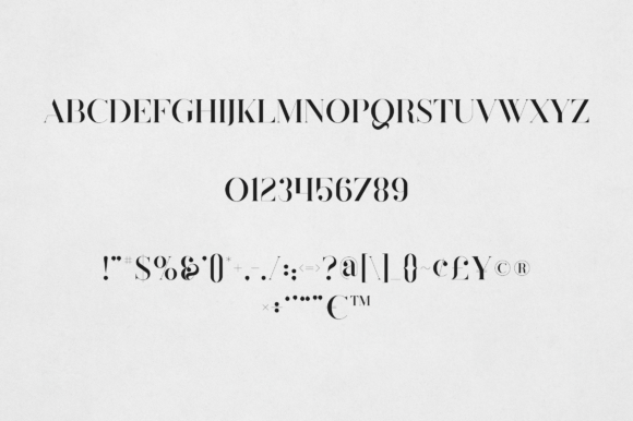 Felicity Font - Preview 1