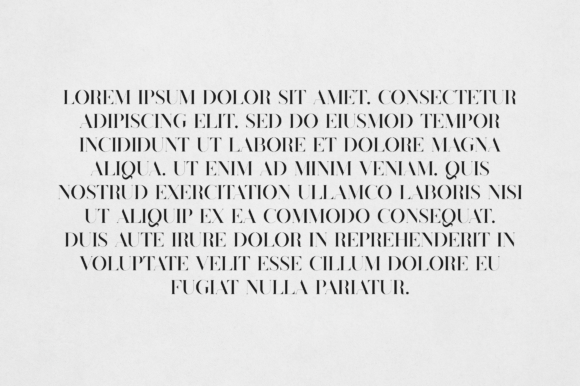Felicity Font - Preview 2